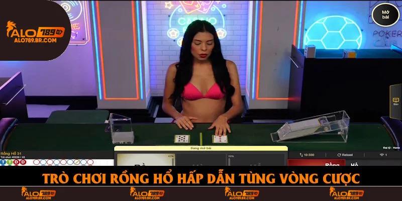 Trò chơi Rồng Hổ hấp dẫn từng vòng cược
