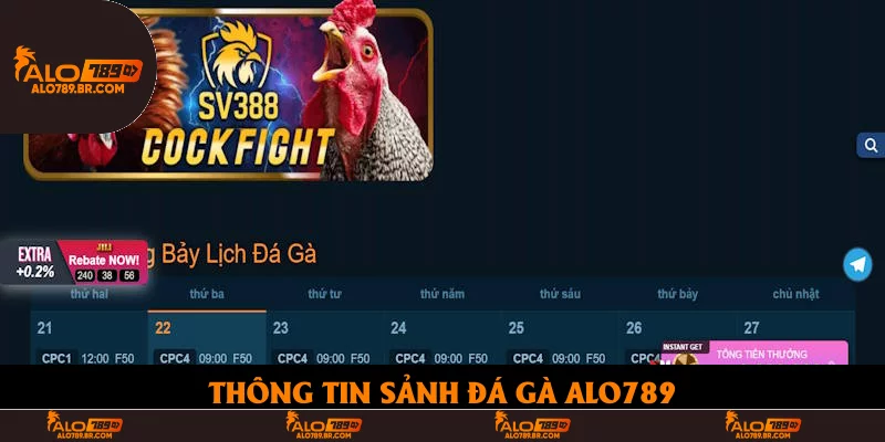 Thông tin sảnh đá gà Alo789