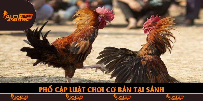 Phổ cập luật chơi cơ bản tại sảnh