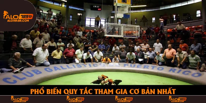 Phổ biến quy tắc tham gia cơ bản nhất