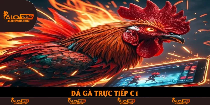 Đá Gà Trực Tiếp C1: Tổng Hợp Những Kèo Cược Nhà Cái Mới Lạ