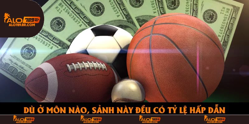 Dù ở môn nào, sảnh này đều có tỷ lệ hấp dẫn